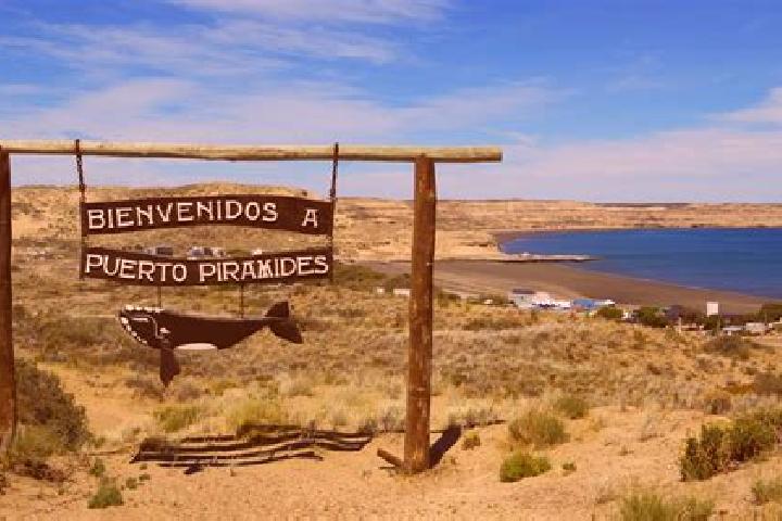 Madison, 36 — Escort in Puerto Piramides, Argentina