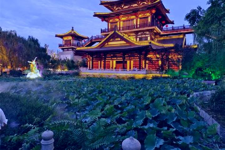 Madison, 36 — Escort in Shangyang, China