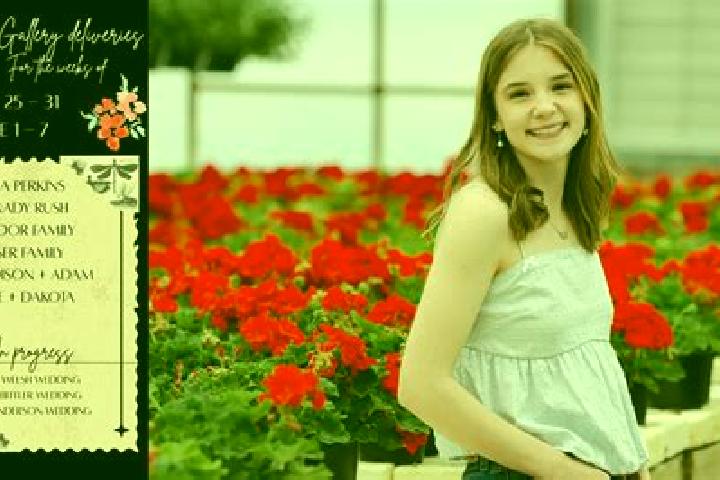 Madison, 36 — Escort in Solonet, Romania