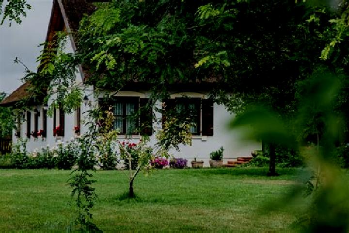 Madison, 36 — Escort in Szigetujfalu, Hungary
