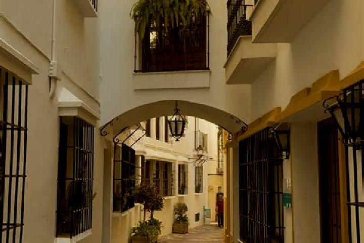 Madison, 37 — Escort in Albunuelas, Spain