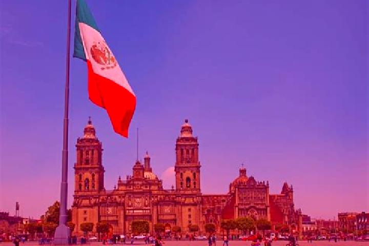 Madison, 37 — Escort in Arena 5ta. Seccion, Mexico