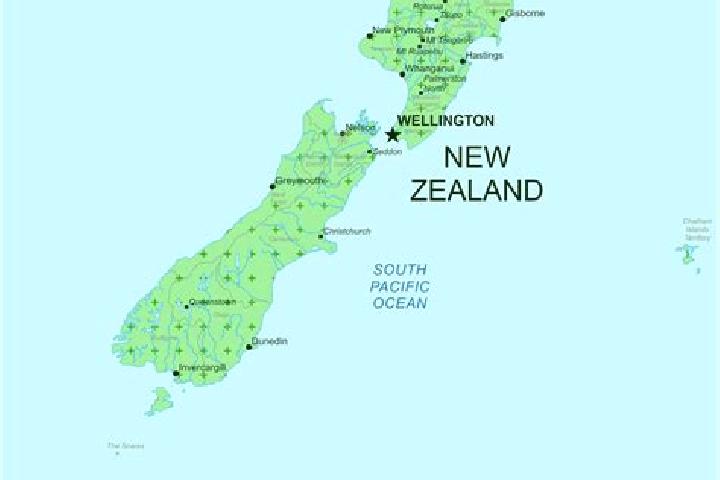 Madison, 37 — Escort in Caversham, New Zealand