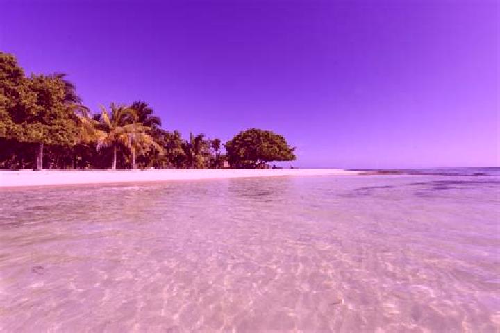 Madison, 37 — Escort in Concepcion, Belize
