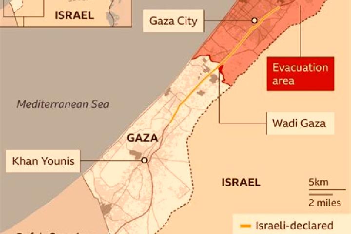 Madison, 37 — Escort in Gaza, Palestine
