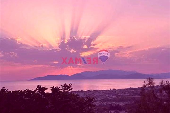 Madison, 37 — Escort in Guezelcamli, Turkey