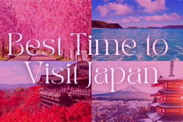 Madison, 37 — Escort in Hayashino, Japan