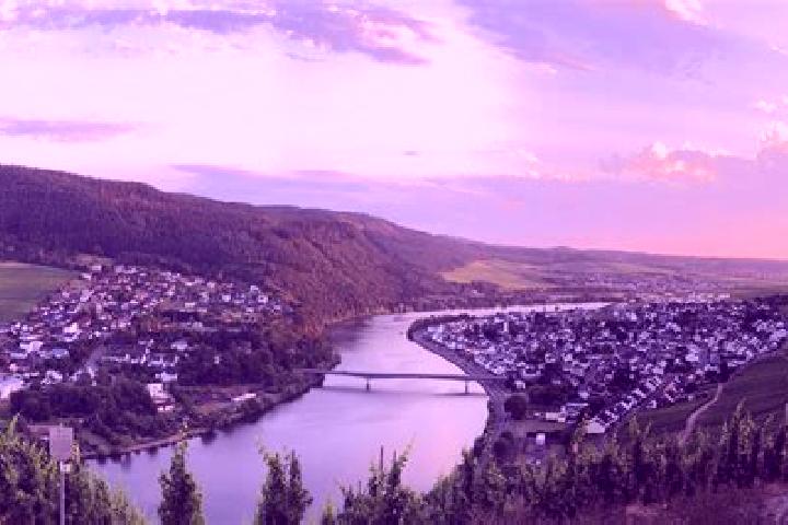 Madison, 37 — Escort in Hohenems, Austria