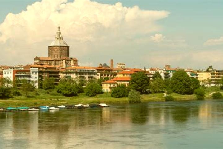 Madison, 37 — Escort in Lambrinia, Italy