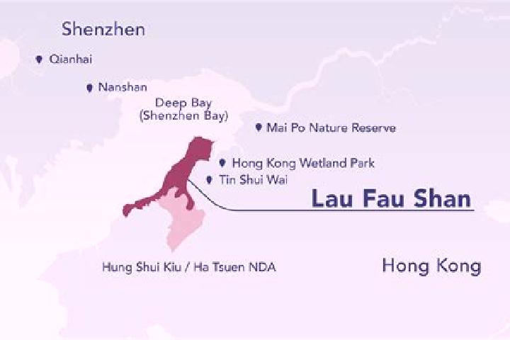 Madison, 37 — Escort in Lau Fau Shan, Hong Kong