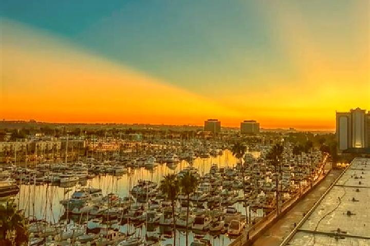 Madison, 37 — Escort in Marina del Rey, United States