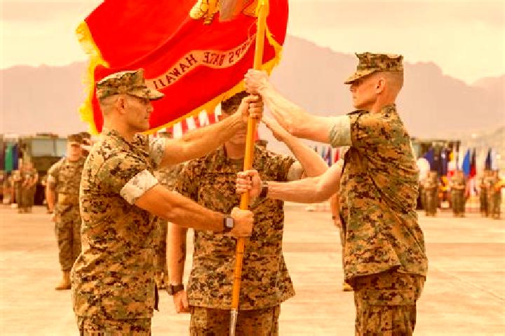 Madison, 37 — Escort in Marine Corps Base Hawaii - MCBH, United States