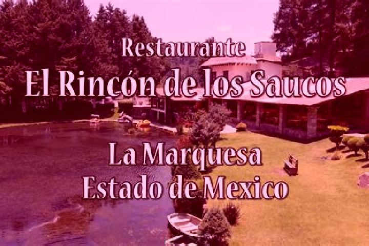 Madison, 37 — Escort in Rincon de los Reyes, Mexico