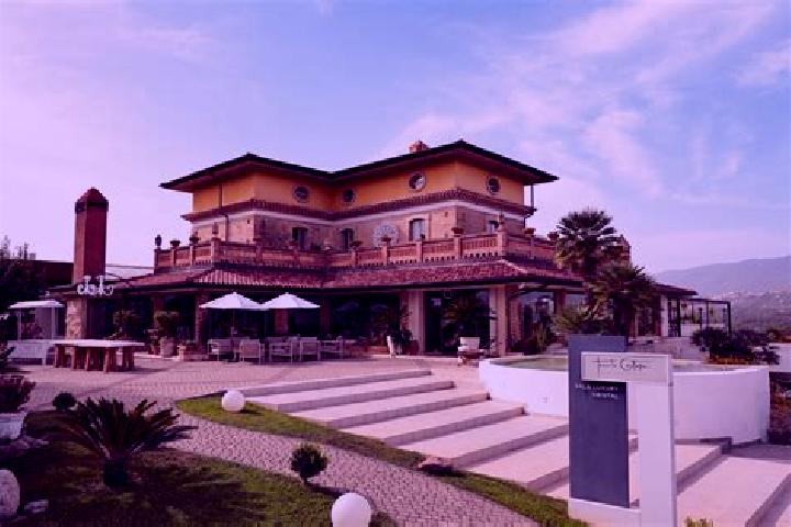 Madison, 37 — Escort in San Vincenzo la Costa, Italy