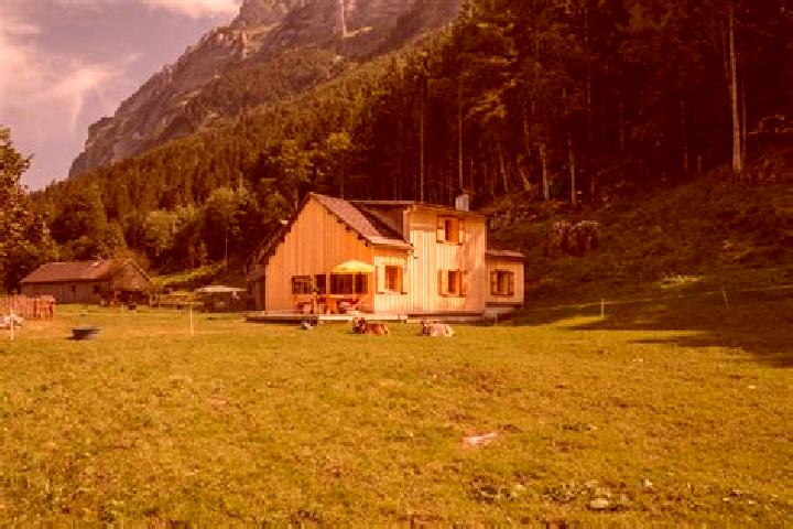 Madison, 37 — Escort in Schnepfau, Austria