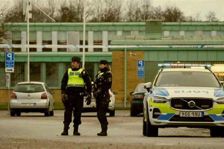 Madison, 37 — Escort in Varekil, Sweden
