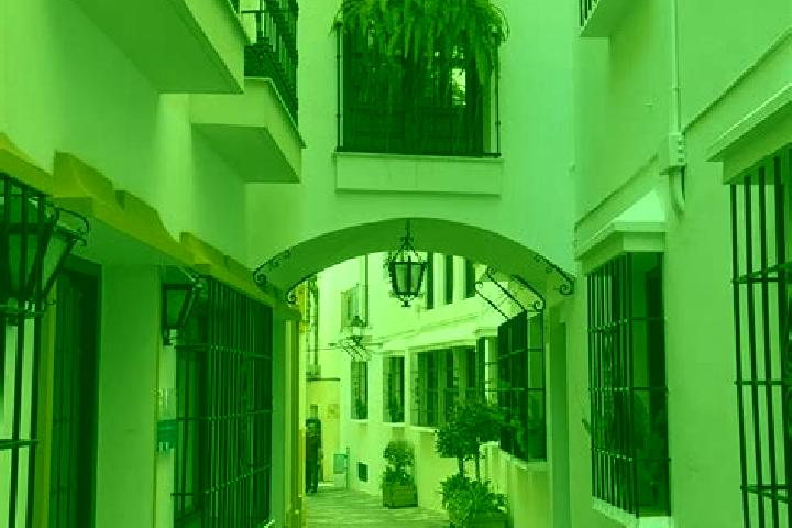 Madison, 37 — Escort in Villaco, Spain