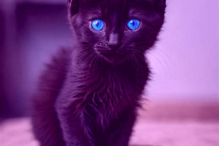 Madison, 38, a black blue-eyed caribbean companion based in Aghajari. Offering Roleplay, Travel Companion, Duos, Fetish. Available for incall and outcall, ov...