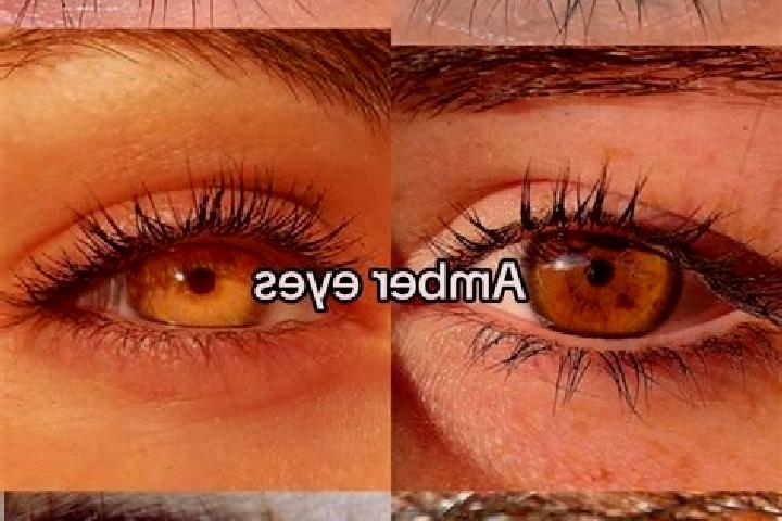 Madison, 38, a brunette amber-eyed mediterranean companion based in Korte. Offering BDSM, Duos, GFE. Available for incall and outcall, overnight bookings ava...