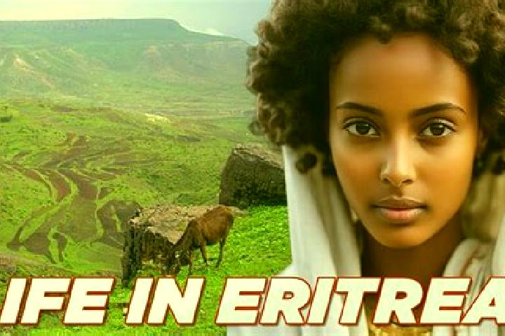 Madison, 38 — Escort in Ak ordat, Eritrea