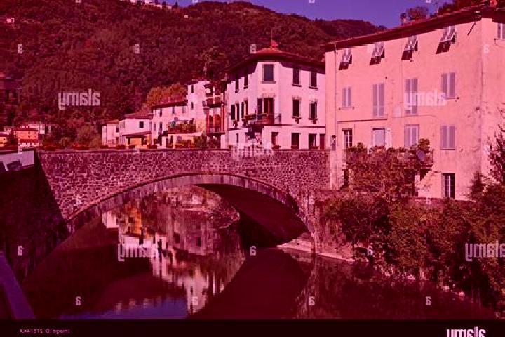 Madison, 38 — Escort in Bagni di Lucca, Italy