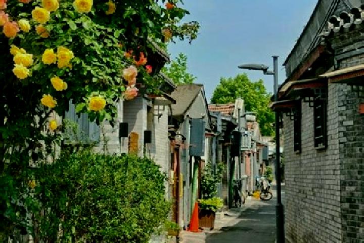 Madison, 38 — Escort in Beiling, China