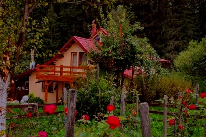 Madison, 38 — Escort in Campu lui Neag, Romania
