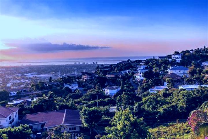 Madison, 38 — Escort in Clarks Town, Jamaica