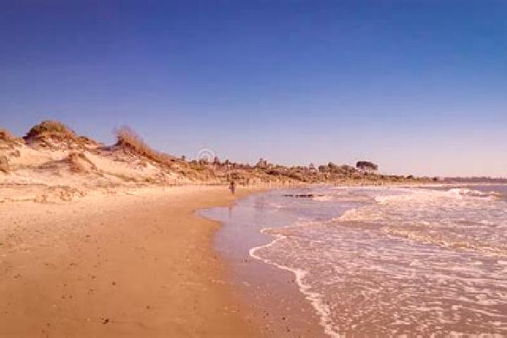 Madison, 38 — Escort in Costa Azul, Uruguay