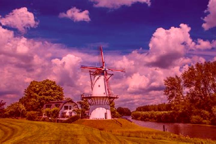 Madison, 38 — Escort in Deil, Netherlands