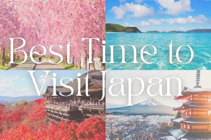 Madison, 38 — Escort in Hirobaba, Japan