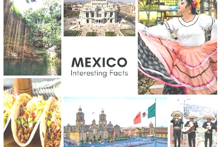 Madison, 38 — Escort in Loma Chilar, Mexico