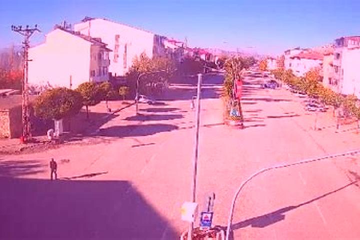 Madison, 38 — Escort in Nurhak, Turkey