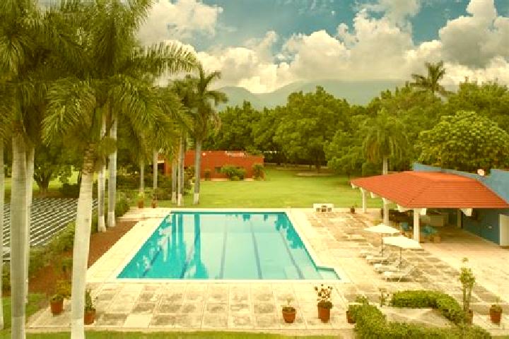Madison, 38 — Escort in San Andres Chamilpa, Mexico