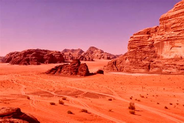 Madison, 38 — Escort in Wadi Fukin, Palestine