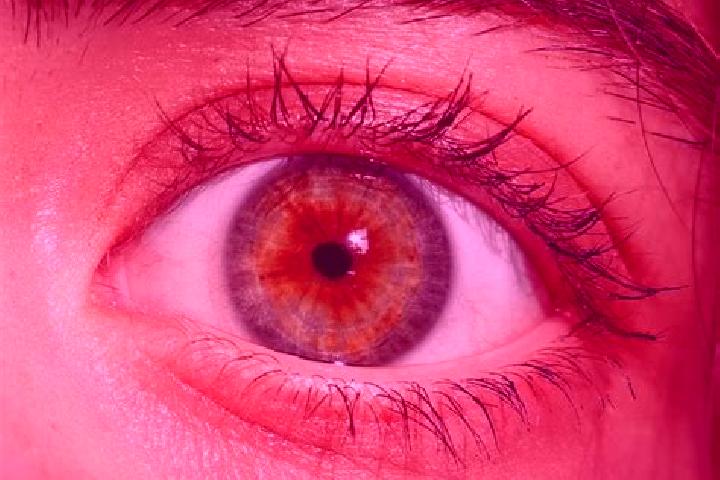 Madison, 39, a red hazel-eyed european companion based in Hartwick. Offering Tantra, Prostate Massage, Roleplay, Overnight, BDSM. Available for incall and ou...