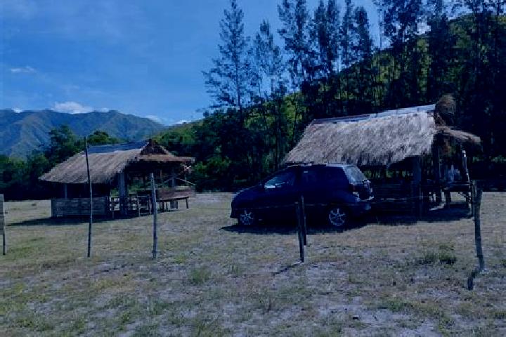 Madison, 39 — Escort in Bacungan, Philippines