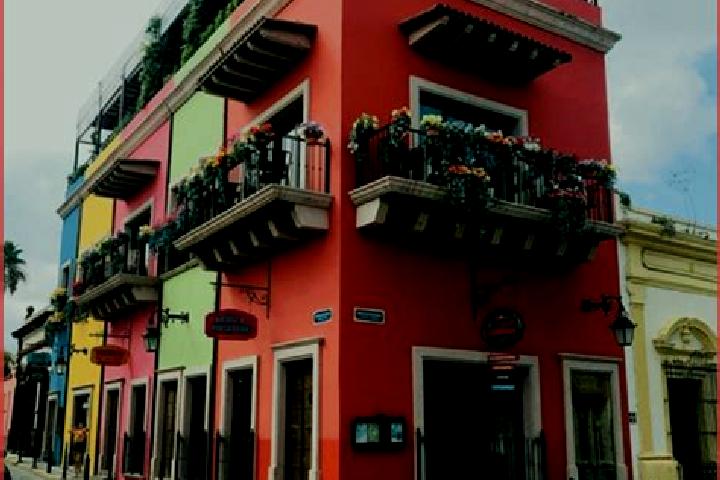 Madison, 39 — Escort in Barrio el Vivero, Mexico