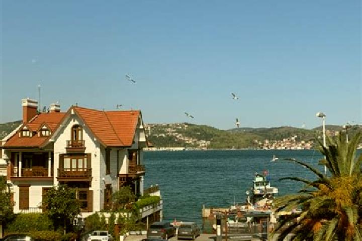 Madison, 39 — Escort in Beyazkoey, Turkey