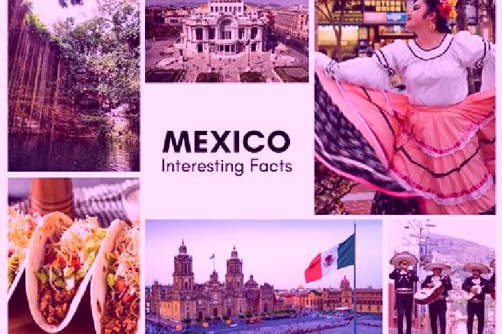 Madison, 39 — Escort in Bondojito, Mexico