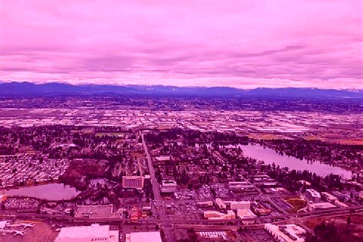 Madison, 39 — Escort in Burien, United States