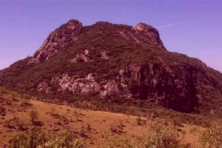 Madison, 39 — Escort in Cerro Marin (Monte Flor), Mexico
