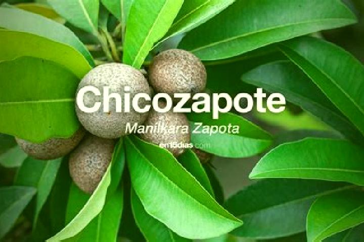 Madison, 39 — Escort in Chicozapote, Mexico