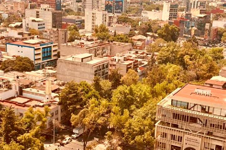 Madison, 39 — Escort in Colonia Ejidal Rafael Merino, Mexico