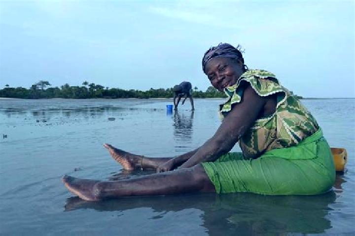 Madison, 39 — Escort in Dingirie, Gambia