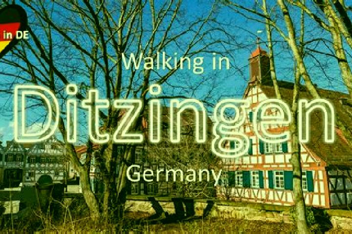Madison, 39 — Escort in Ditzingen, Germany