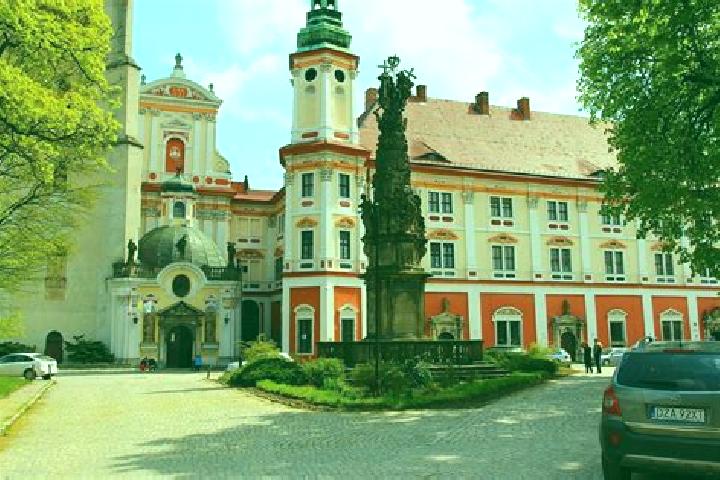 Madison, 39 — Escort in Henrykow, Poland