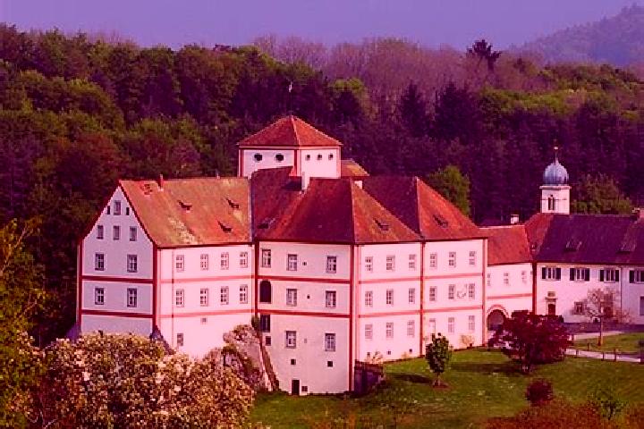 Madison, 39 — Escort in Langenstein, Germany