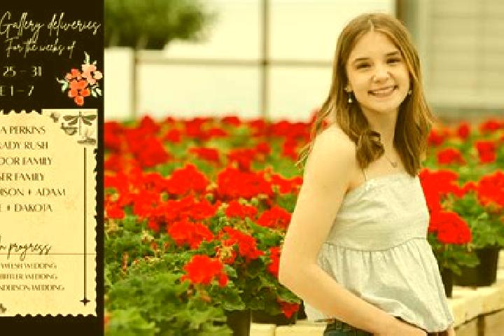Madison, 39 — Escort in Milostea, Romania