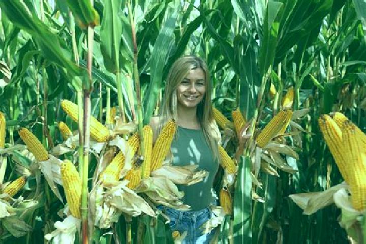 Madison, 39 — Escort in Palecznica, Poland